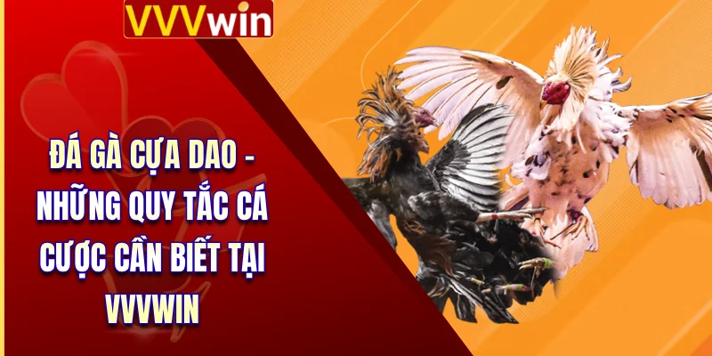 Đá Gà Cựa Dao - Những Quy Tắc Cá Cược Cần Biết Tại VVVWin 6 Đá Gà Cựa Dao