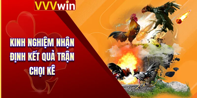 Đá Gà Trực Tiếp - Sức Hấp Dẫn Khó Cưỡng Từ 4 Trận Chiến 4 Kinh nghiệm nhận định kết quả trận chọi kê