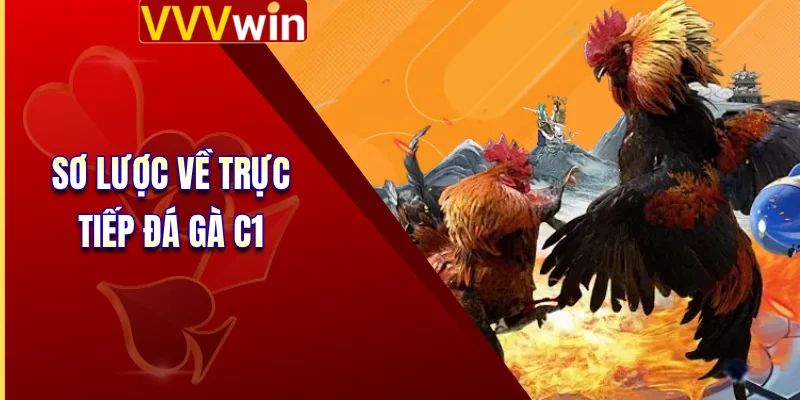 Trực Tiếp Đá Gà C1 - Đỉnh Cao Chiến Kê Dũng Mãnh 5 Sao 2 Sơ lược về trực tiếp đá gà C1